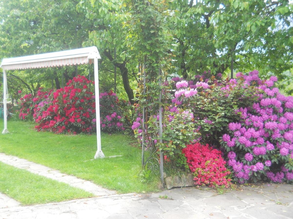 Albergo Negritella Borgo Valsugana Экстерьер фото